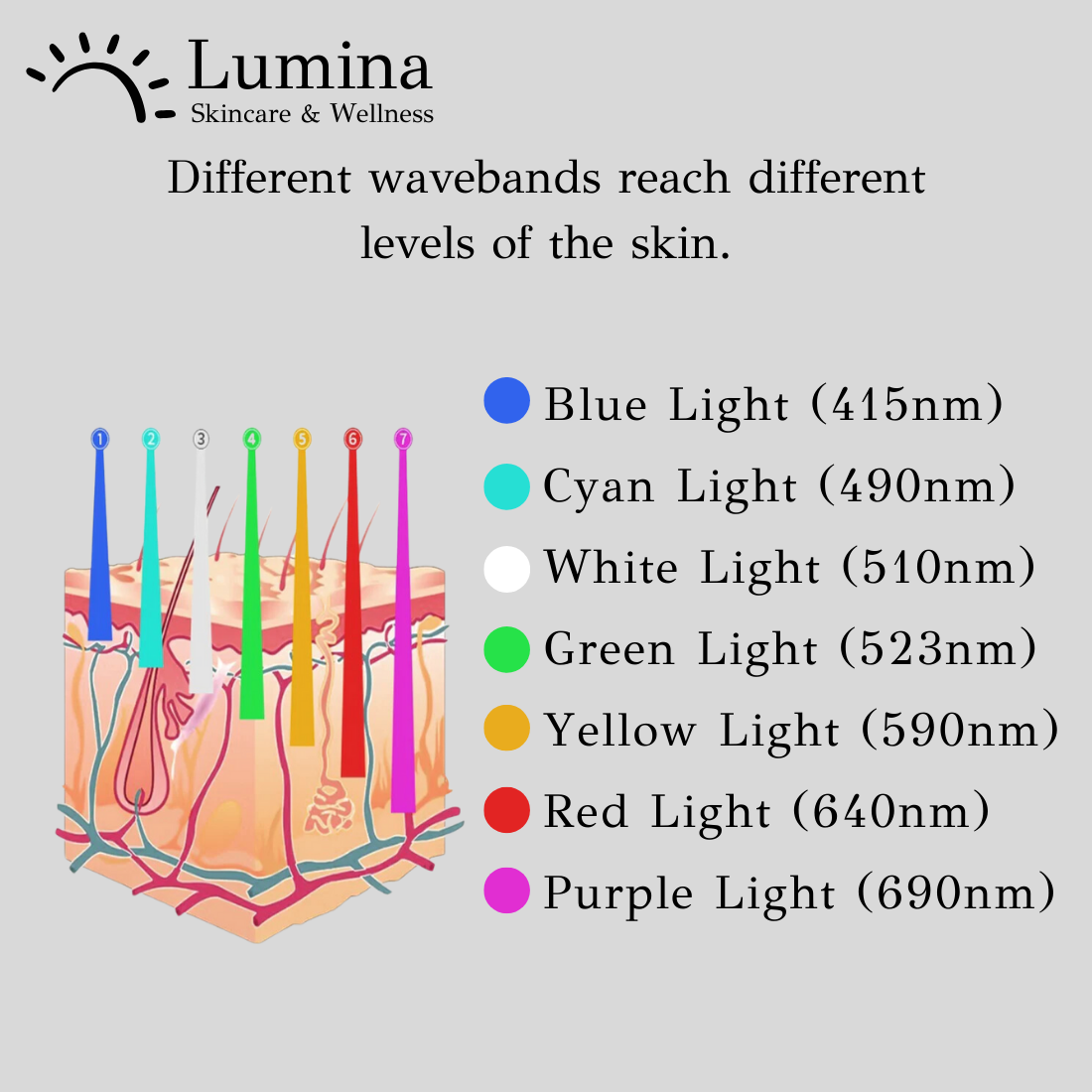 Lumina | 7-Colour LED Light Therapy Face Mask